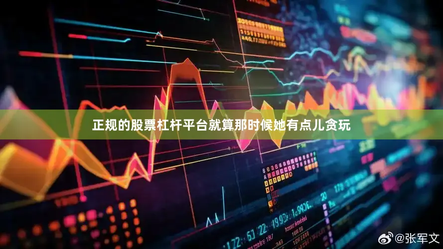 正规的股票杠杆平台就算那时候她有点儿贪玩
